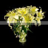 Star Starry Light LED String Light Copper Wire String Lights 5m 8m 10m 15m 20m 25m thumbnail-6