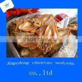 Export Dried Squid
