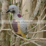 XPE FOAM Good Quality Dove Decoy thumbnail-3