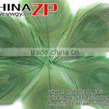 CHINAZP Bulk Sale Selected Prime Quality Colored Mint Green Trimmed Peacock Feathers Eyes for Sale thumbnail-3