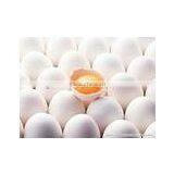 Best Buy White Table Egg thumbnail-1