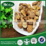 Dried Matsutake Mushroom High Quality thumbnail-3