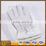 Beekeeping Equipements Beekeeper Gloves thumbnail-1