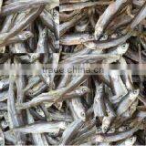 Anchovy Fish Meal for Sale thumbnail-5