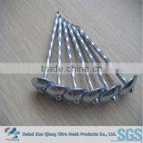 Hot Sell High Quality 100sets Galvanized Twisted Shank Roofing Nail With Washer