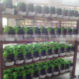 Best Selling Brush Cutter thumbnail-3