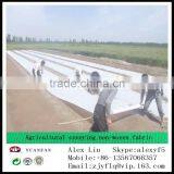 Non-woven Bag is Used to Cover the Outside of the Saplings, Frost Prevention, Freeze Prevention, Insect Prevention thumbnail-4