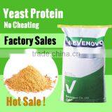 Feed Yeast Factory For 55, 60,65 Protein