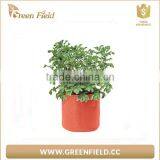 Non Woven Felt Fabric Grow Bags With Handle thumbnail-2