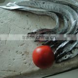China Frozen Surimi for Export