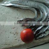 China Frozen Surimi for Export thumbnail-1
