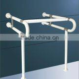 Disabled Grab Bar thumbnail-1