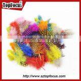 Cheap Dyed Guinea Fowl Wholesale Artificial Feathers for Carnival Costumes thumbnail-4