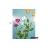 Artificial Elegance Ranunculus x 2 thumbnail-1