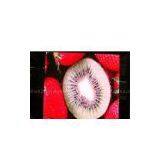 Indoor Slim P4 Led Screen thumbnail-1