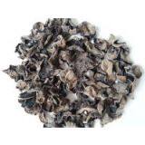 Black Fungus thumbnail-1