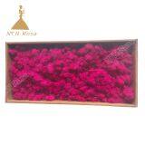 China Most Popuplar Everlasting Moss: The Key to Plant Walls thumbnail-4