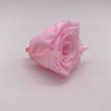 Preserved Real Natural Long Lasting Eternity Roses Head For DIY Forever Flower Box thumbnail-5