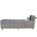 Industrial Air Bubble SUS304 Ozone Vegetable Washing Machine Fruit Washing Machine Leaf Vegetable Washing Machine WT/8613824555378 thumbnail-3