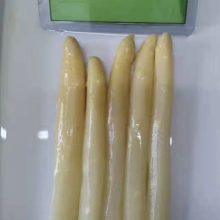 Canned White Asparagus thumbnail-2