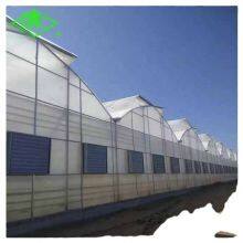 Agriculture Greenhouse Film Tomato And Strawberry Multi Span Dedicated White Po Greenhouse Film thumbnail-2