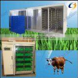 Automatic hydroponic sprouted grains system for livestock,animal,cattle,sheep,goats
