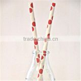 Red Spotty Paper Straws for Girl's Birthday Party Wholesale