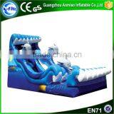 New Design Cheap Adult Size Water Slides,inflatable Shark Slide Supplier's Choice thumbnail-4