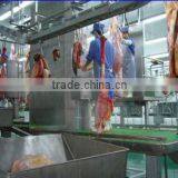 Claw Scoop Synchronous Hygienic Inspection System