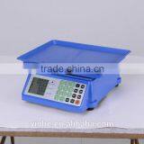 Old Fashion 30kg Digital Scale Little Help