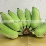 Organic Fresh Bananas Nam Wah Grade 1
