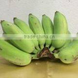 Organic Fresh Bananas Nam Wah Grade 1 thumbnail-1