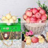 ARTS OF APPLES(1) thumbnail-1