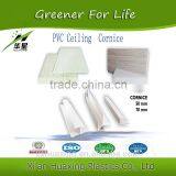 Xi'an Huaxing Plastics Honeycomb Stretch PVC Ceilings