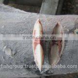 SEAFROZEN BLACK MARLIN DWT thumbnail-5