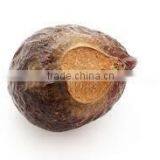 Indian Organic Natural Soapnut /Saponins Seeds in Second Grade thumbnail-4