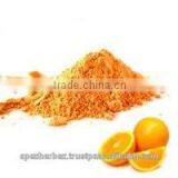 Orange Fruit Juice Powder Spray Dried / Orange Fruit Powder