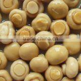 Champignon Mushroom in Brine