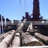 Vessels for Logs Cargo ex Russia thumbnail-1