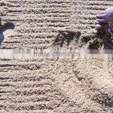 Hot Sale, Good Quality, Tractor Towed Beach Sand Cleaner Beach Cleaning Machine thumbnail-5