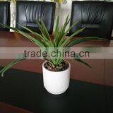 Factory Price Desk Set Decoration Mini Artificial Bonsai thumbnail-2