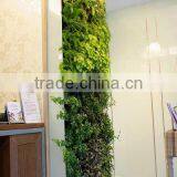 High Quality Artificial Wall Plant Artificial Succulent Plant Wall for Home Decor thumbnail-1