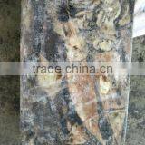 Frozen Peru Squid Wholesale thumbnail-6