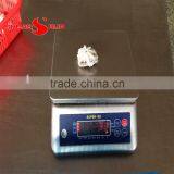 Baby Octopus thumbnail-4