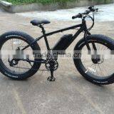 Best Selling 26 Inch Electric Bike Easy Ride Brushless Hub Motor Fat Tire Electric Bike thumbnail-5