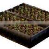Electric Underfloor Snowing Heated Mat for 2 Tray Seedling thumbnail-3