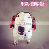 R1941H Lovely Cute Dog Wig,wigs for Dogs,dog Wig thumbnail-4