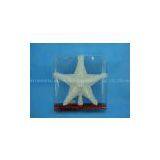 CHRISTMAS STAR HH-6928 thumbnail-1