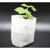 Polylactic Acid (PLA) Nonwovens thumbnail-3