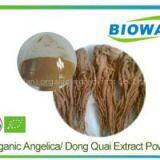 Organic Angelica Extract Powder thumbnail-1